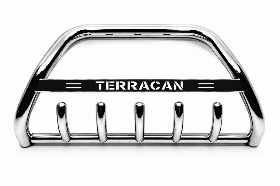 Hyundai Terracan 2001-2007 рр. Кенгурятник WT004 (нерж) Image