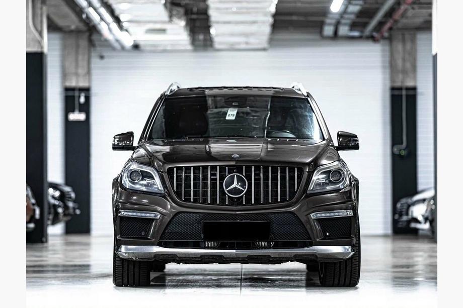 Передня решітка GT Panamericana (для GL) Image