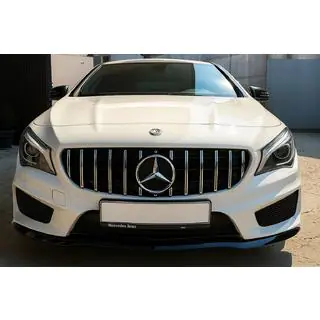 Передня решітка (2013-2016, GT Panamericana) фото 3