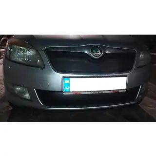 Зимова накладка на решітку (2011-2014, верхня) фото 2