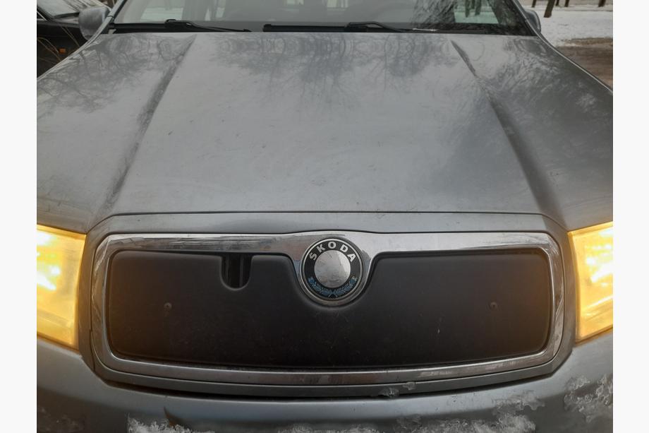 Skoda Fabia 2000-2007 рр. Зимова накладка на решітку Фото 2