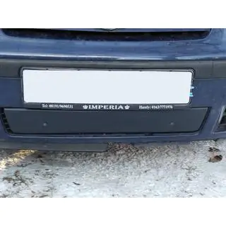 Зимова решітка (2000-2010) фото 4