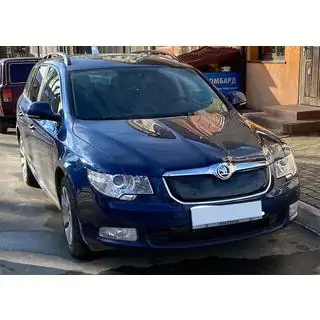 Зимова накладка на решітку (Верхня, 2008-2013) фото 4