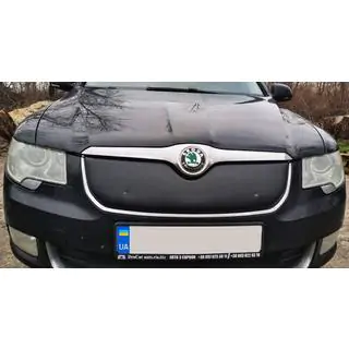 Зимова накладка на решітку (Верхня, 2008-2013)