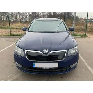 Зимова накладка на решітку (Верхня, 2013-2015)