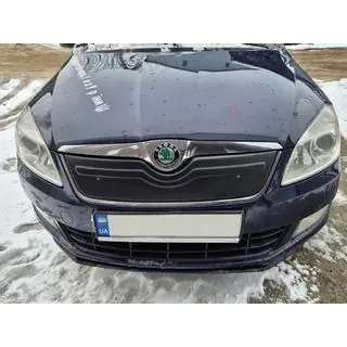 Зимова накладка на решітку (2010+, верхня) фото 3