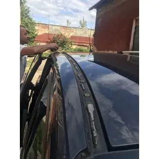 Рейлінги Хром (для Grand C-Max) фото 2