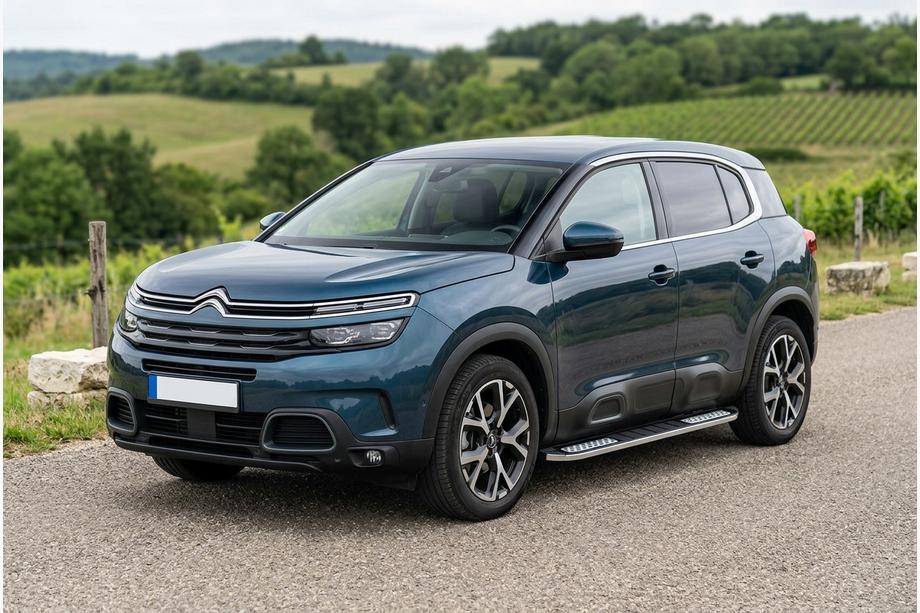 Citroen C5 Aircross 2017-2025 рр. Бокові пороги Tayga V2 (2 шт, алюміній) Image
