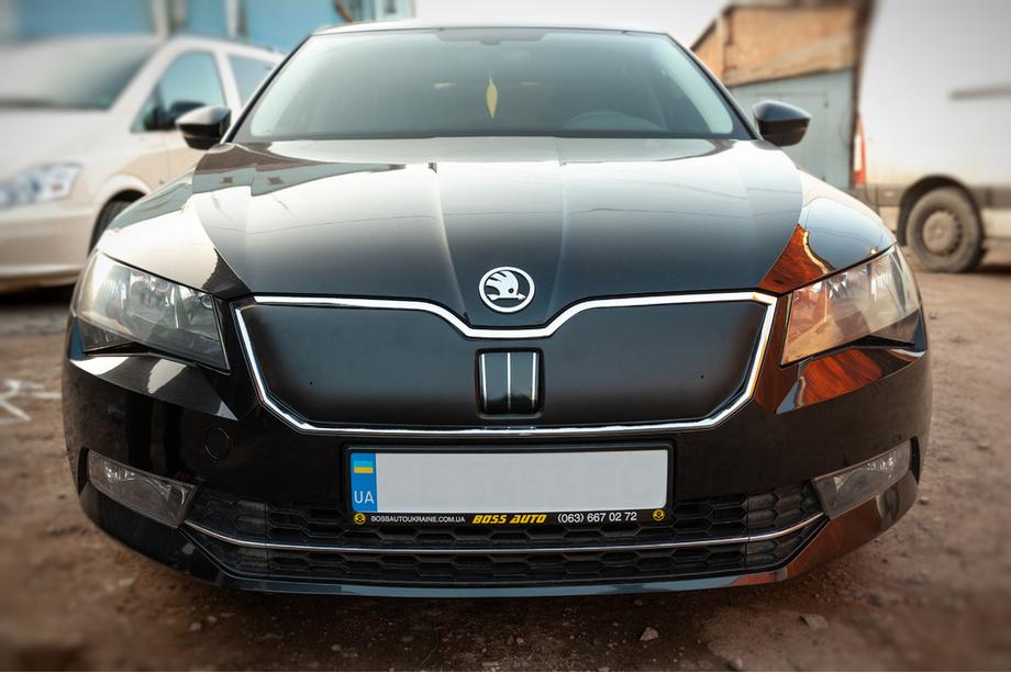 Skoda Superb 2015-2024 рр. Зимова накладка на решітку (2015-2019, верхня) Фото 2