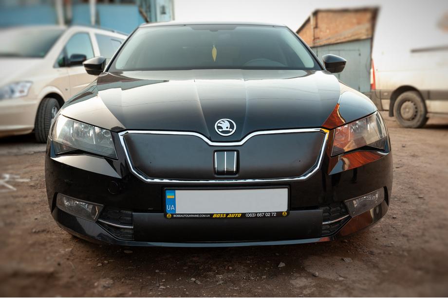 Skoda Superb 2015-2024 рр. Зимова накладка на решітку (2015-2019, нижня) Фото 2
