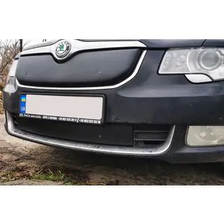 Зимова накладка на решітку (Нижня, 2008-2013) фото 3