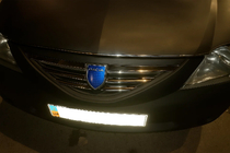 Renault Logan I 2005-2008 рр. Накладки на решітку радіатора (нерж.) Carmos - Турецька сталь фото 3