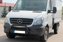 Mercedes Sprinter W906 2006-2018 рр. Кенгурятник WT003 (чорний) фото 1