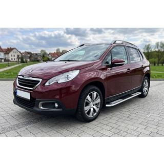 Бокові пороги Tayga V2 (2 шт., алюміній) фото 1