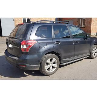 Бокові пороги Premium (2 шт., нерж.) фото 1