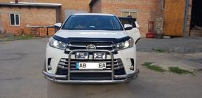 Кенгурятник WT-Special (нерж) фото 2