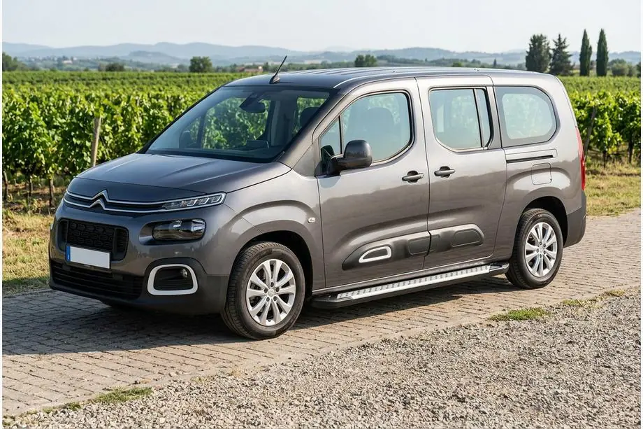 Citroen Berlingo/Multispace 2018- рр. Бокові пороги Allmond Grey (2 шт., алюміній) Довга база Фото 1