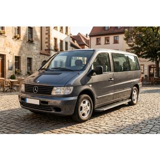 Бокові пороги Bosphorus Grey (2 шт., алюміній) Mercedes Vito W638 1996-2003 рр. фото 1