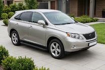 Lexus RX 2009-2015 рр. Бокові пороги Allmond Black (2 шт, алюміній) фото 1