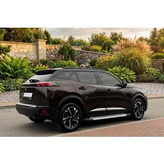 Бокові пороги New Vision Grey (2 шт., алюміній) Peugeot 3008 2016-2023 рр. фото 1