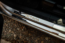 Skoda Octavia III A7 2013-2019 рр. Накладки на пороги Carmos V1 (8 шт., нерж.) фото 1