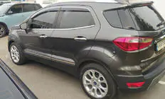 Ford Ecosport 2013-2022 рр. Молдинг дверей (4 шт, нерж) фото 3