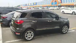 Ford Ecosport 2013-2022 рр. Молдинг дверей (4 шт, нерж) фото 1