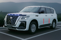 Nissan Armada 2016-2024 рр. Молдинги дверні (4 шт, чорні) фото 3