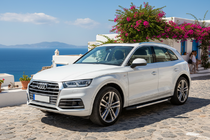 Audi Q5 2017-2025 рр. Бокові пороги Duru (2 шт., Алюміній) фото 1