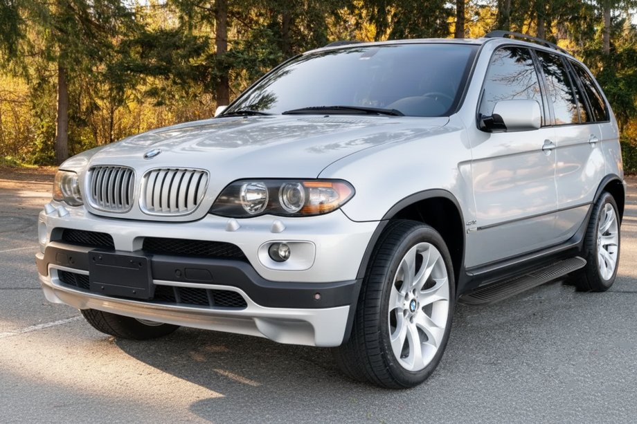BMW X5 E53 1999-2006 рр. Бокові пороги Tayga Black (2 шт, алюм.) Image