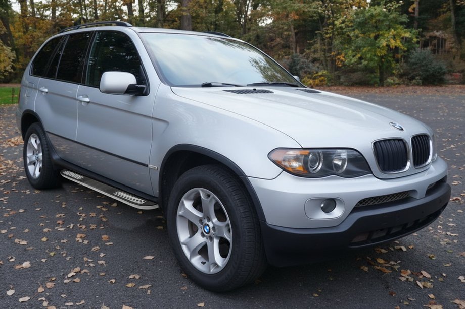 BMW X5 E53 1999-2006 рр. Бокові пороги Tayga V2 (2 шт, алюм.) Image