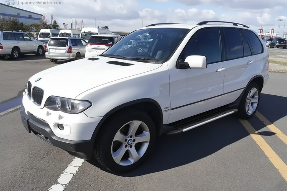 BMW X5 E53 1999-2006 рр. Бокові пороги Bosphorus Grey (2 шт, алюм.) Image