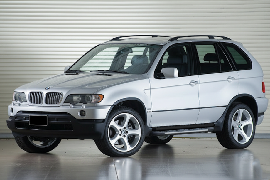 Бокові пороги Duru (2 шт, алюм.) Image