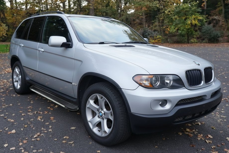 BMW X5 E53 1999-2006 рр. Бокові пороги Maya V1 (2 шт, алюм.) Image