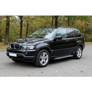 Бокові пороги Rainbow (2 шт, алюм.) BMW X5 E53 1999-2006 рр. фото 1