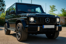 Mercedes G class W463 1990-2018 рр. Передня решітка (GT Panamericana, без хрому) фото 3