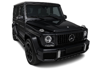 Mercedes G class W463 1990-2018 рр. Передня решітка (GT Panamericana, без хрому) фото 4