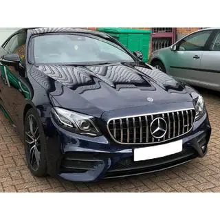 Передня решітка Panamericana GT (AMG Line, 2020-2023) фото 3