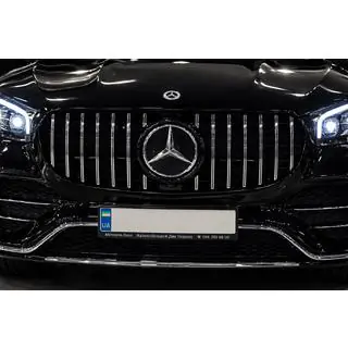 Передня решітка 2019-2023 (GT Panamericana) фото 3
