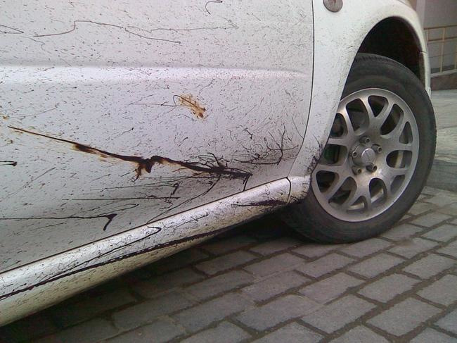 Як очистити машину від бітуму?