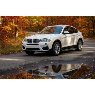 Бокові пороги Bosphore Grey (2 шт., Алюміній) BMW X4 F26 2014-2018 рр. фото 1