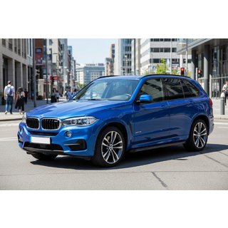 Бокові пороги Maya Blue (2 шт., Алюміній) BMW X5 F15 2013-2018 рр. фото 1