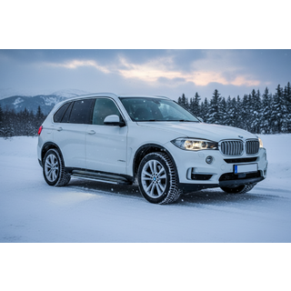Бокові пороги Rainbow (2 шт., Алюміній) BMW X5 F15 2013-2018 рр. фото 1