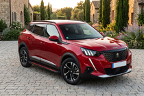 Peugeot 2008 2019- рр. Бокові пороги Maya Red (2 шт., Алюміній) фото 1