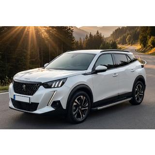 Бокові пороги BlackLine (2 шт., Алюміній) Peugeot 2008 2019- рр. фото 1