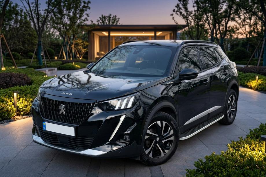 Peugeot 2008 2019- рр. Бокові пороги Tayga Grey (2 шт., Алюміній) Фото 1