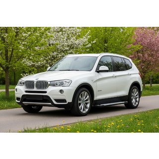 Бокові пороги Allmond Grey (2 шт., Алюміній) BMW X3 F25 2011-2018 рр. фото 1