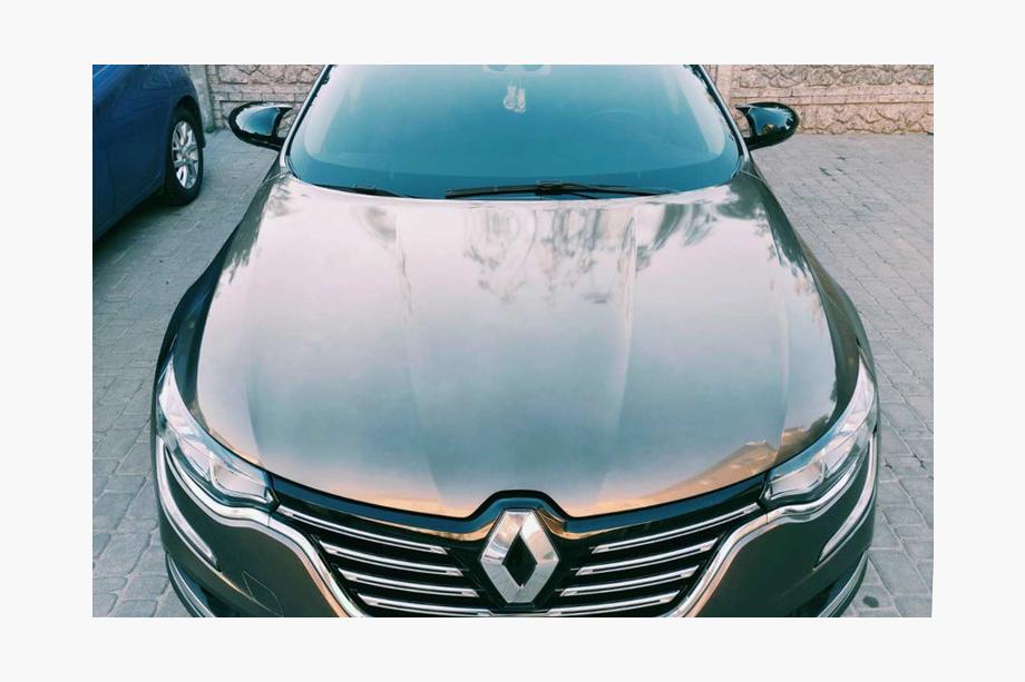 Renault Talisman 2015-2022 рр. Накладки на дзеркала BMW-Style (2 шт) Фото 2